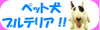 peco