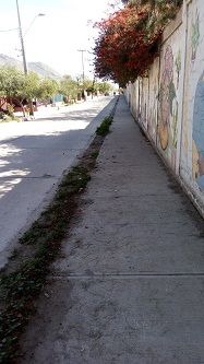 20170807_133038-2