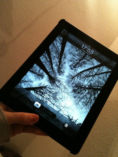 iPad