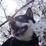 050510-7.jpg