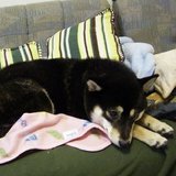 050510-1.jpg