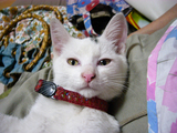 050801-4.jpg