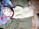 050801-2.jpg