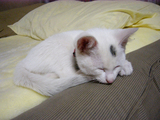 050801-3.jpg