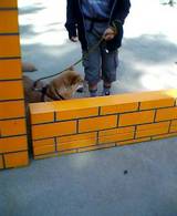 050601-4.jpg