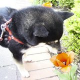 050510-3.jpg