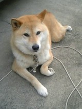 050606-5.jpg
