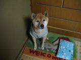 050530-3.jpg