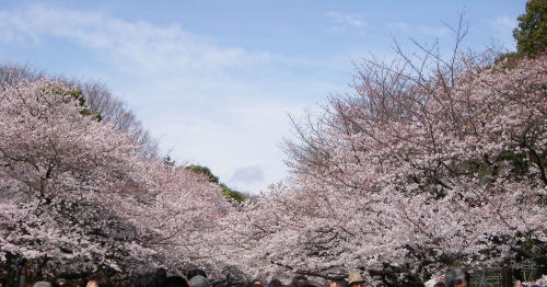 IMGP0167