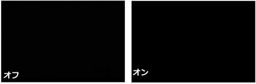 5分