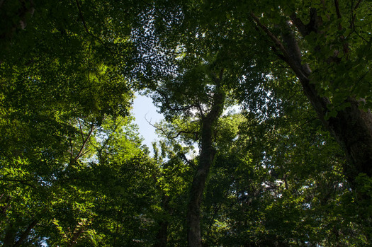 DSC_8652