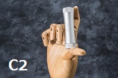 C2