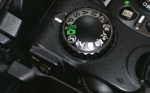 IMGP0325