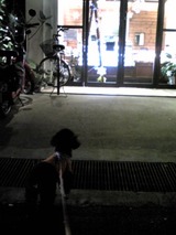 8cd9cddc.jpg