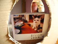 fe239a6a.jpg