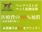 banner_pbj001