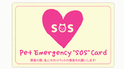 sos_アニメバナー