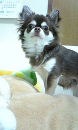 60a75d6c.jpg