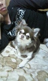 745c7521.jpg
