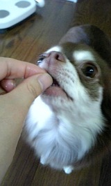 c7d8a403.jpg