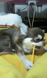 ccecbd63.jpg