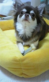 df027298.jpg