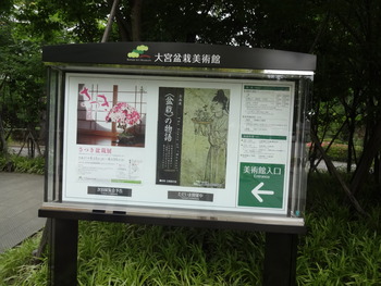 盆栽3
