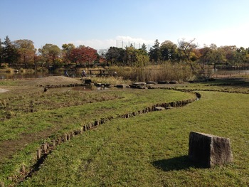 ドーマン公園4