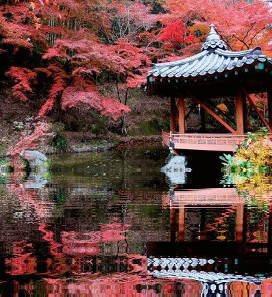 Ï»³ÑÄâ¤ÎÃÓ
