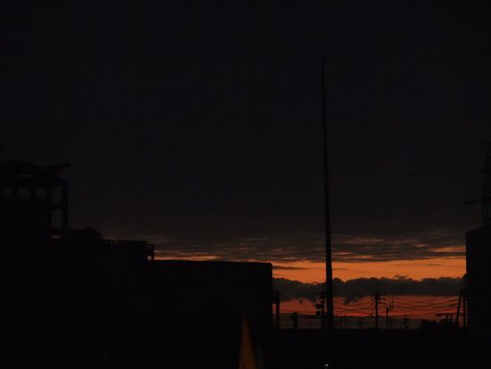 2011 1/8 6:55