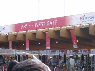 7ecf3742.jpg