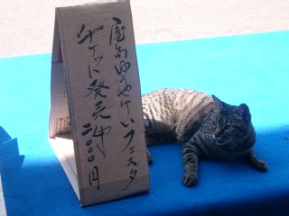 9b016f5b.jpg
