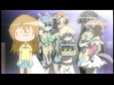 くるみw