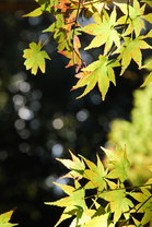 091112ȬȨ��7