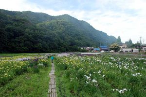 100617栗栖5