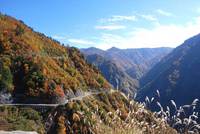 091022スーパー林道7