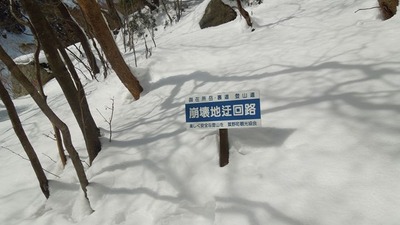 JDSCN0337