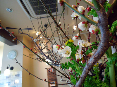 ume2