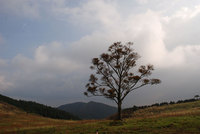 091015放牧地から見た碁盤石山