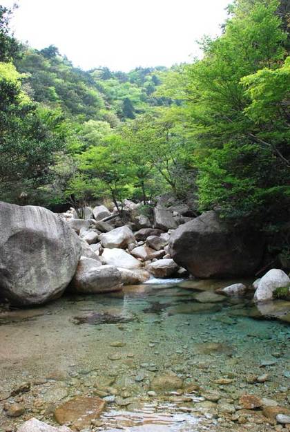 080508御在所1