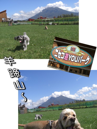 ニセコ家族旅行〜U^ェ^U