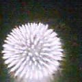 20050717_2002_000.jpg