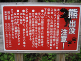 kuma