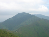 koudosen4