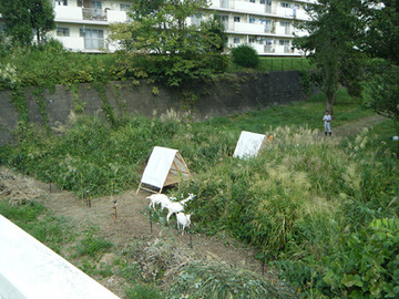 050cc080.jpg