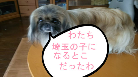 BlogPaint