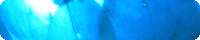 firefry-23