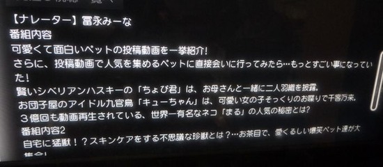 aP1430904