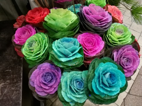 P9花