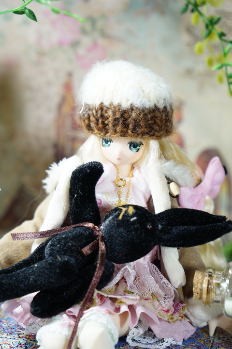 orange_pekoe_7_2019_4_21_DSC02423